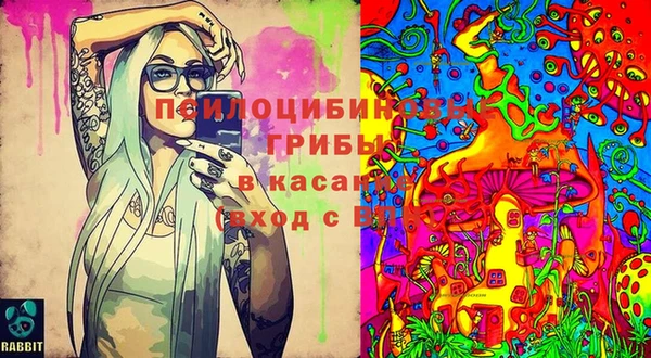 хмурый Армянск