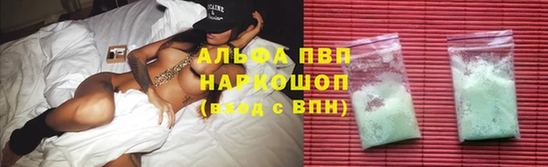 сатива Аркадак